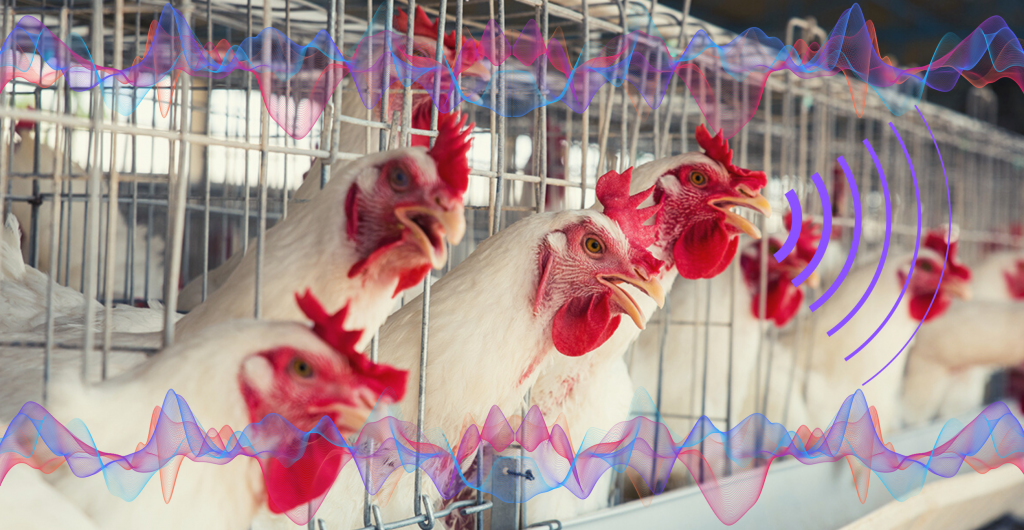 inteligencia.artificial.gallinas